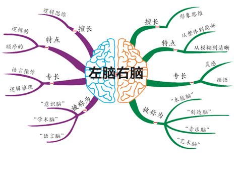 思维意思|思维的意思